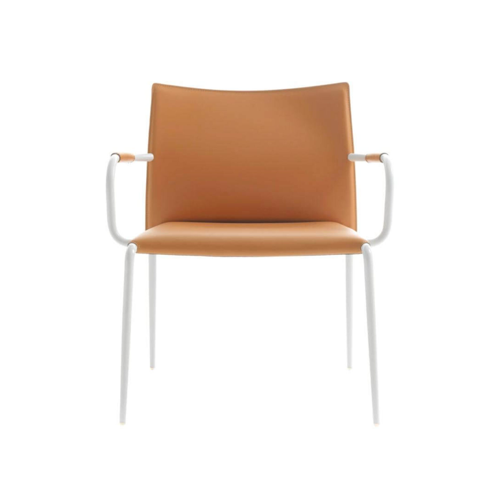 Lomacasa_Pellizzoni_Gazzella-Armchair_Gallery-8